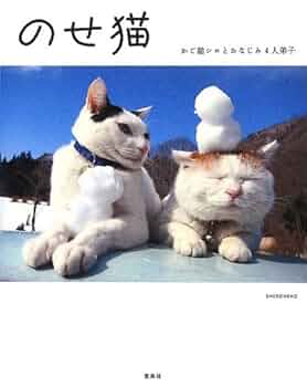 かご猫1 シロの散歩道 [DVD] 中古】 かご猫1 シロの散歩道 / - メルカリ